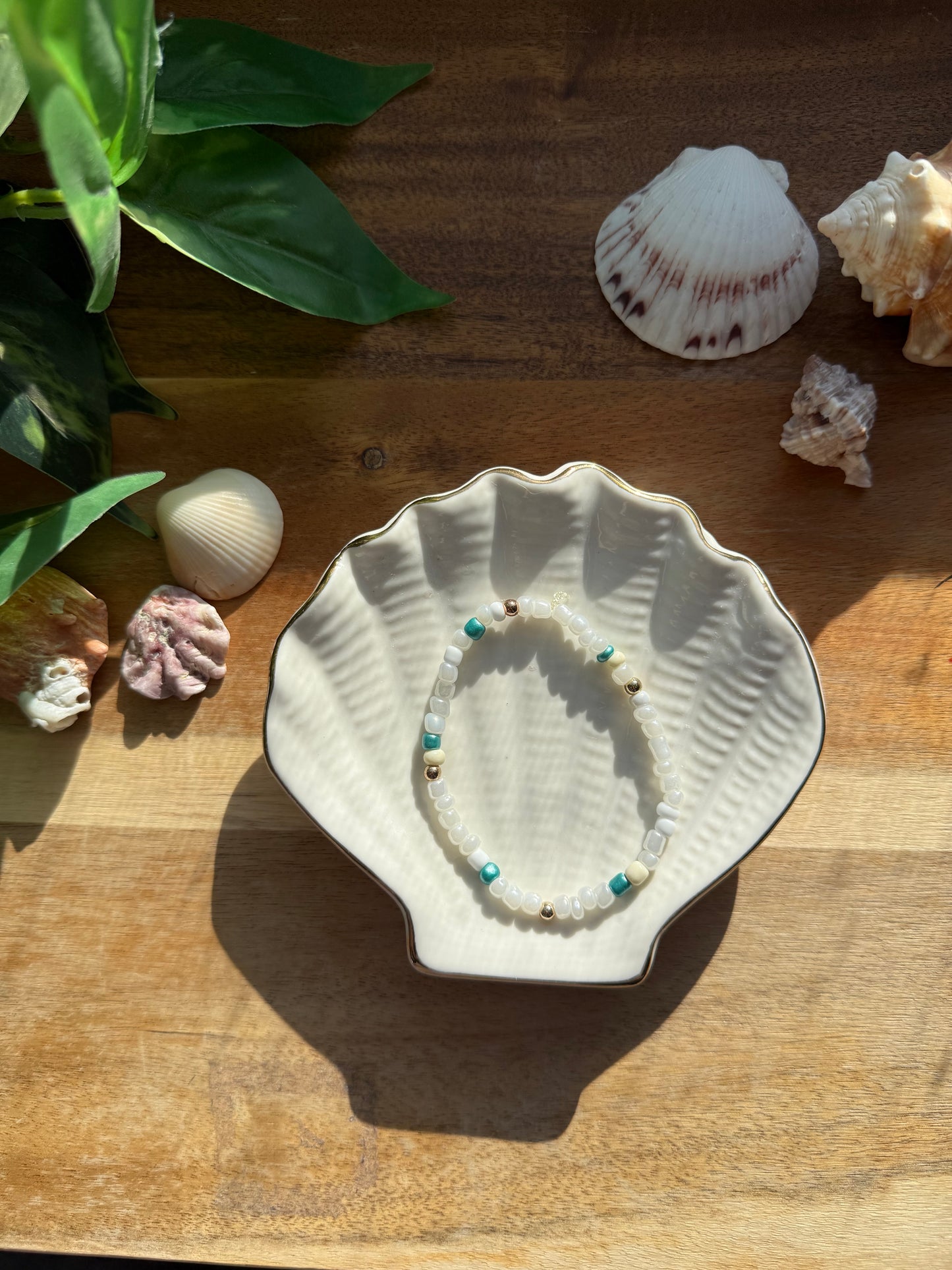 Gold Sand Dollar Duo