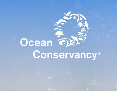 Coastal Breeze Bracelet