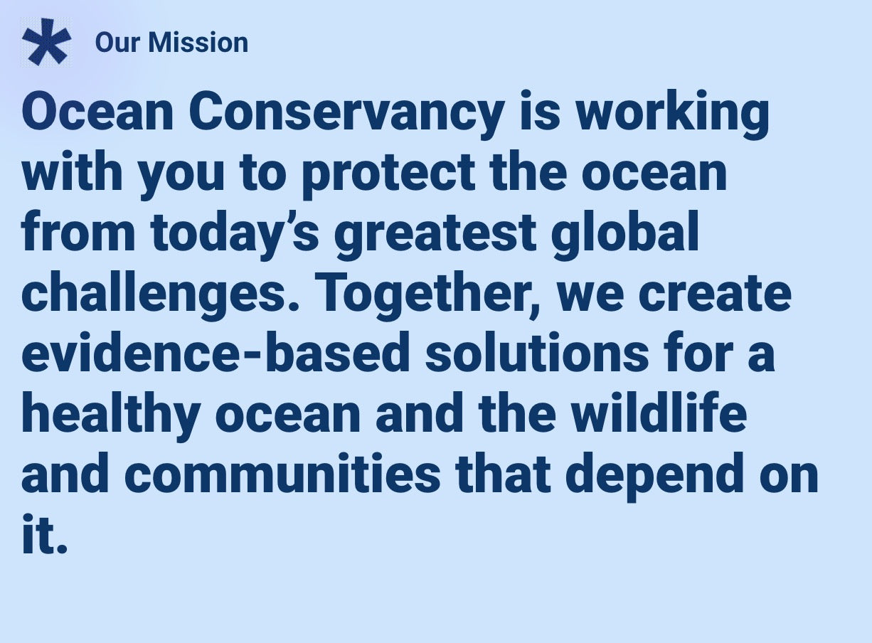 Coastal Breeze Bracelet