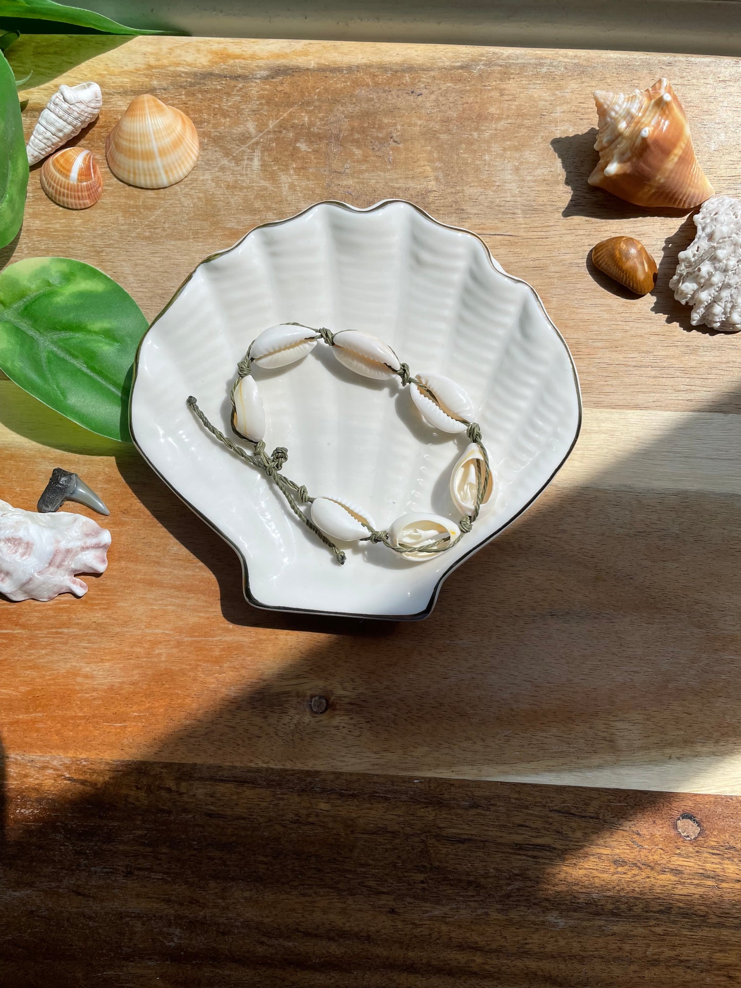 Seaweed cowrie shell bracelet