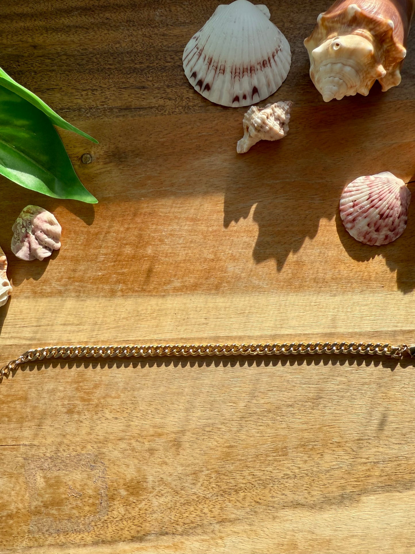 Thick Gold Chain