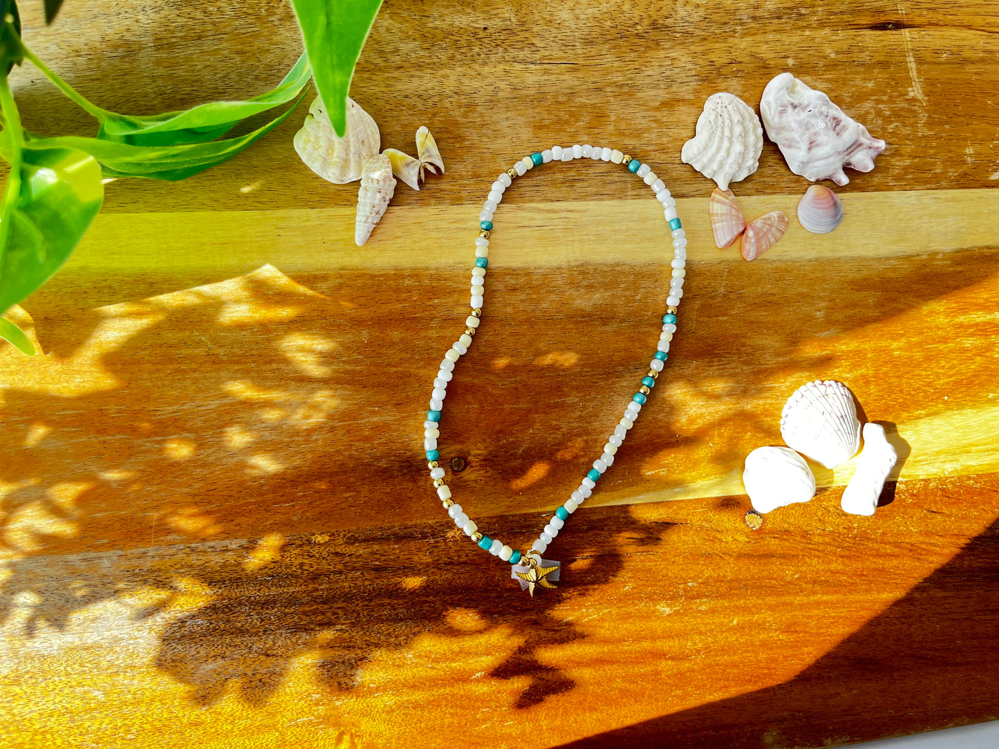 Gold Sand Dollar Duo